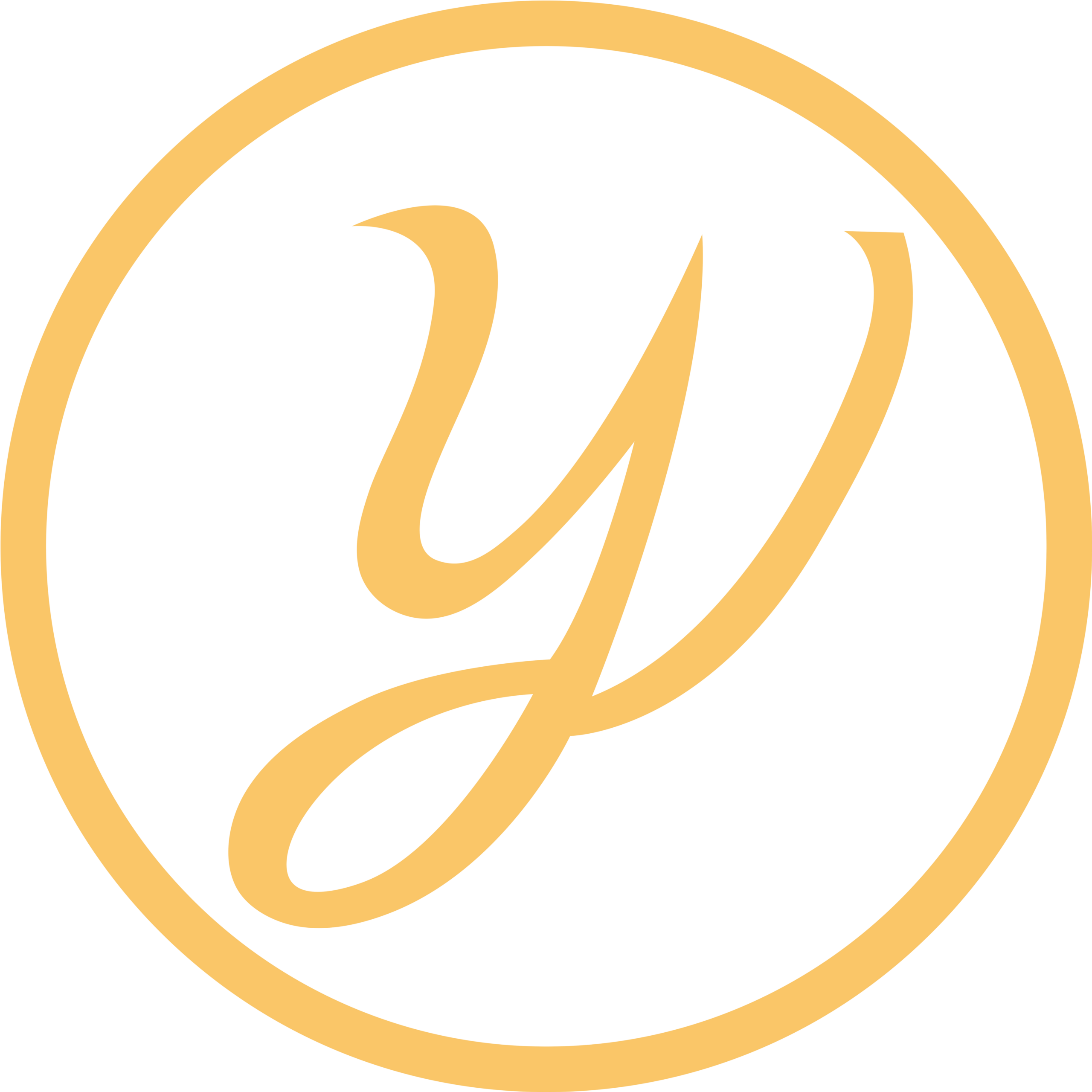 WordPress Blog